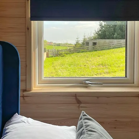 Wood View - Uk43707